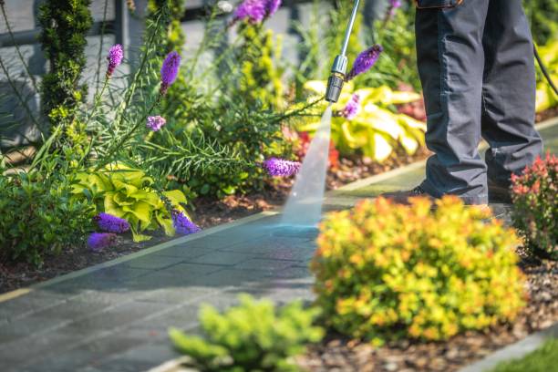 Trusted Welcome, SC  Pressure Washing Services Experts